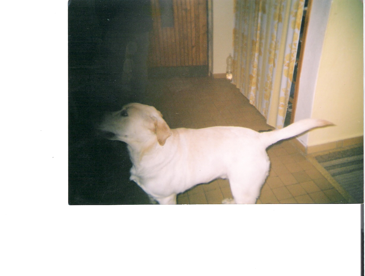 skenovat0005.jpg