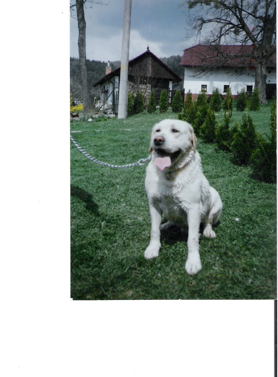skenovat0007.jpg