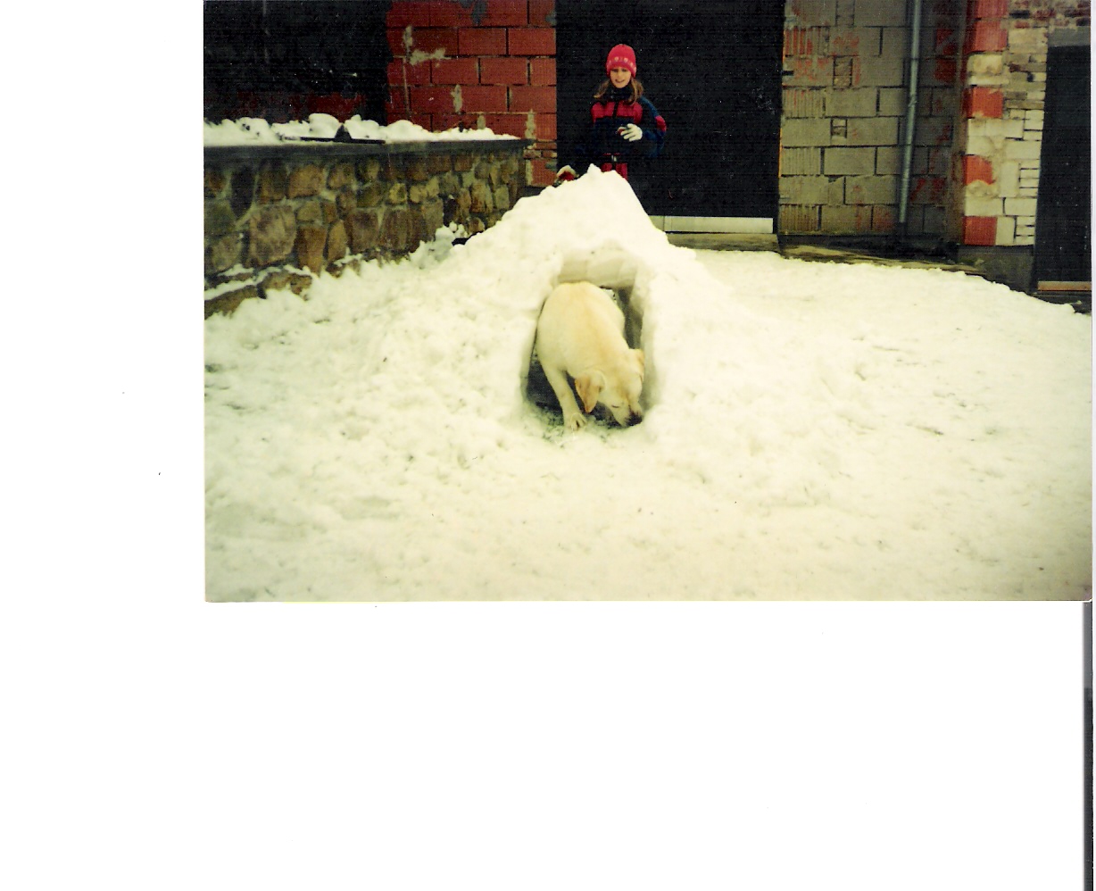 skenovat0008.jpg