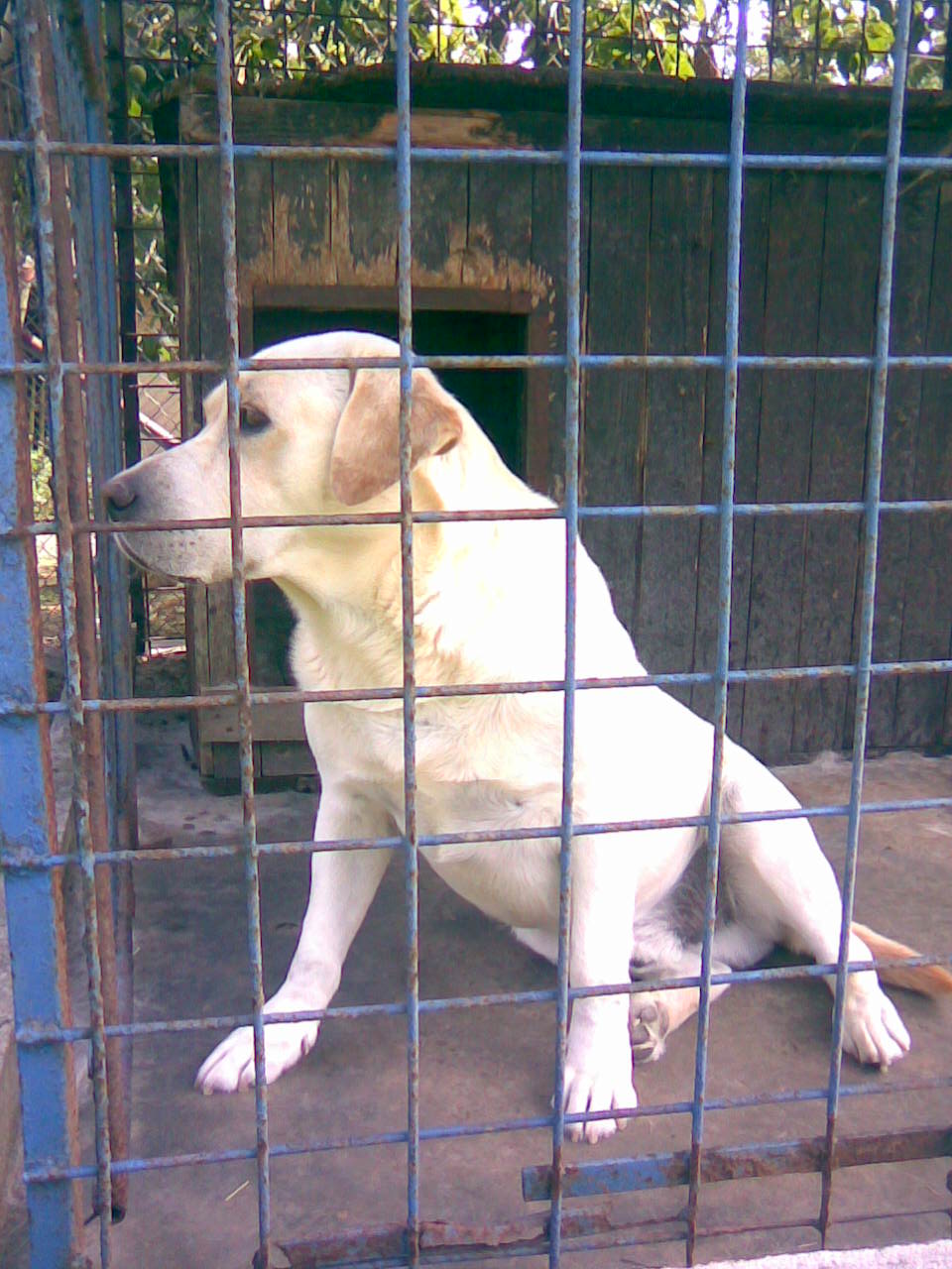 Obraz005.jpg