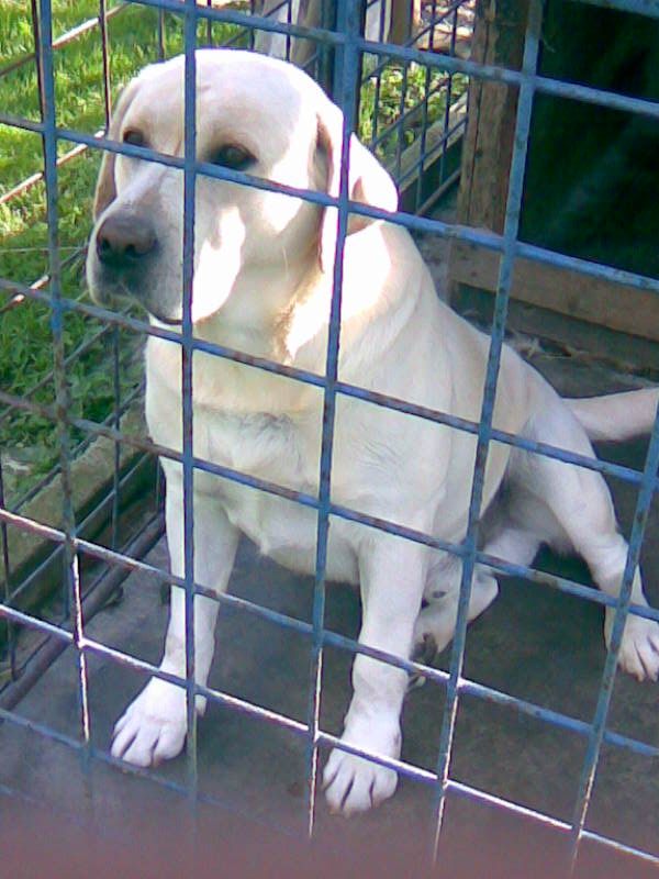 Obraz010.jpg