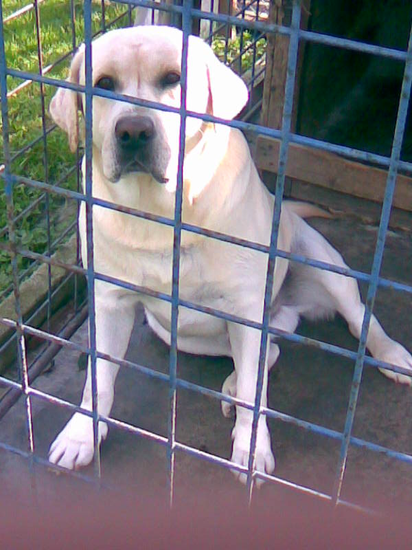 Obraz012.jpg