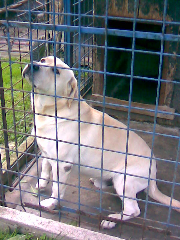 Obraz002.jpg