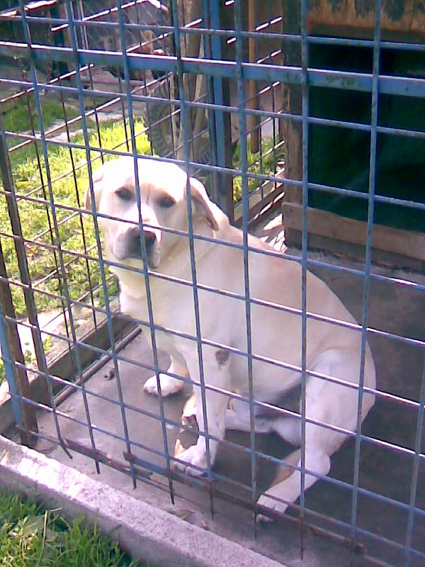 Obraz003.jpg